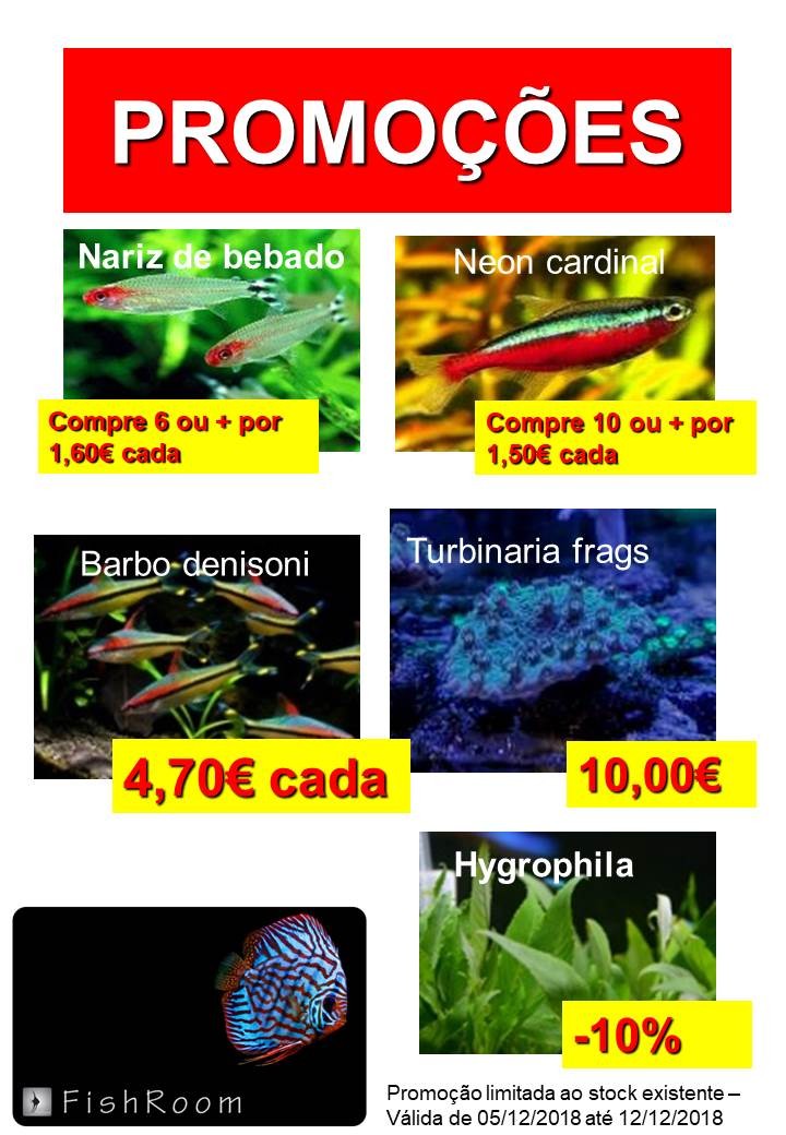 Promo_semana_dezembro