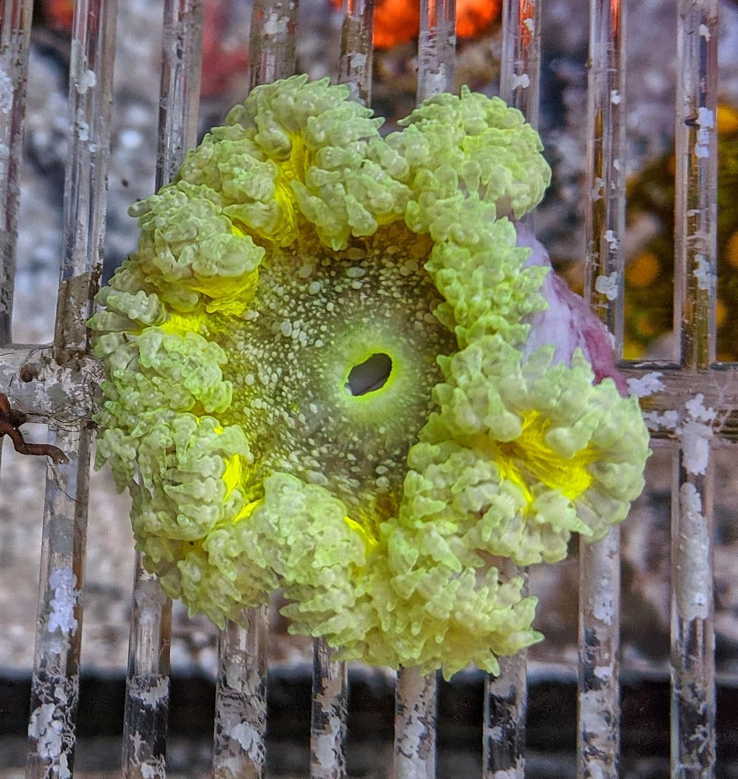 75246793 489194695021583 5830538389174091776 n