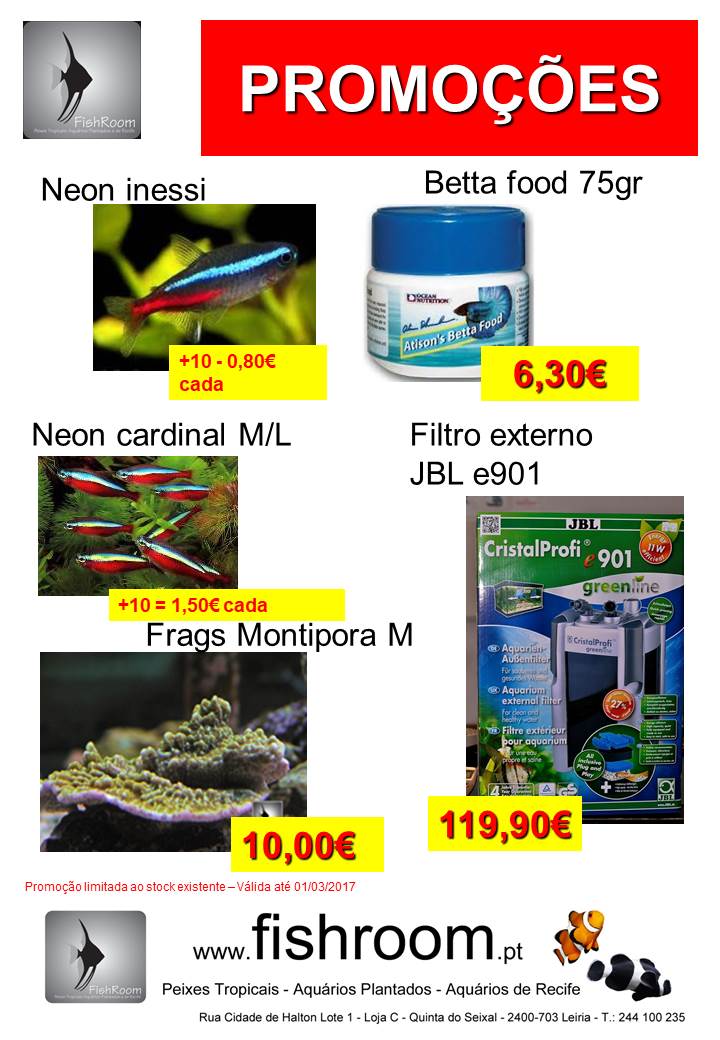 Promo semanal
