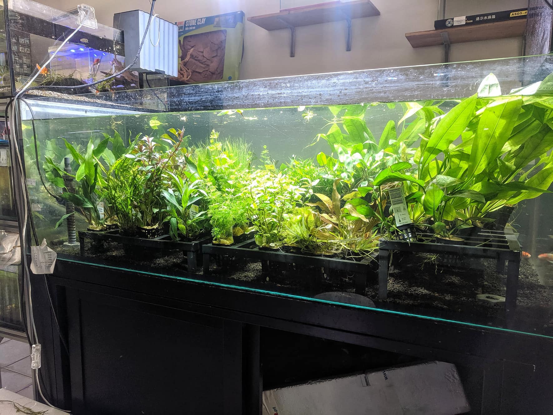 67138896 418188145459739 581295588398596096 n