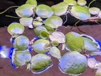 72554133 951159995227273 5351129943411523584 n